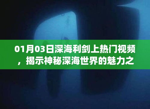 深海利剑揭秘，神秘深海世界的魅力之旅