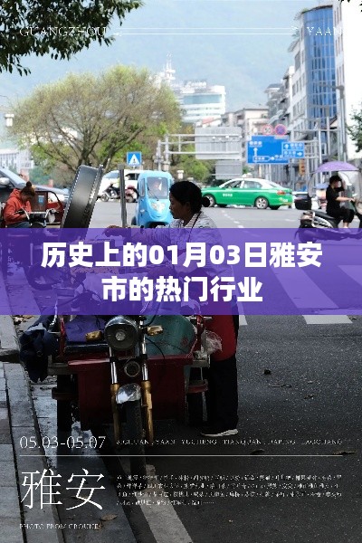 雅安市热门行业历史变迁，一月三日回顾