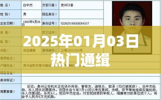2025年元旦后通缉名单揭晓