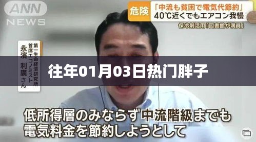 历年1月3日热门胖子话题回顾