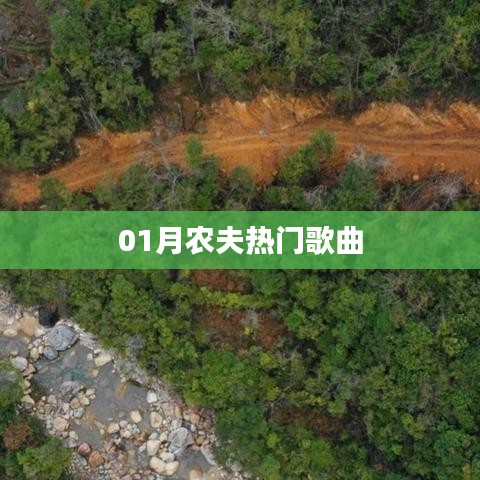 农夫最新热门歌曲榜单