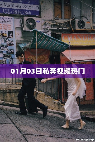 百鸟朝凤 第3页