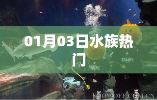 水族热门资讯，探访水族世界，最新动态一网打尽！