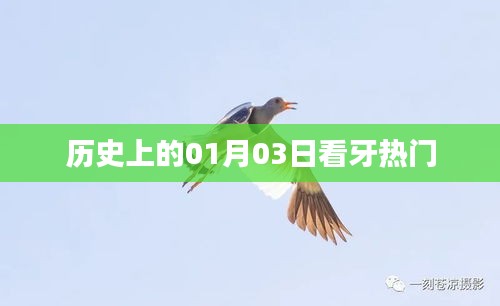 历史上的热门看牙日，一月三日回顾