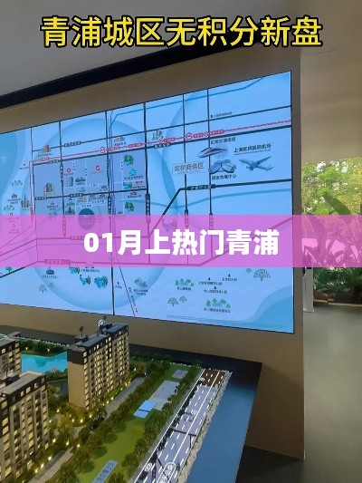 青浦一月热门事件回顾