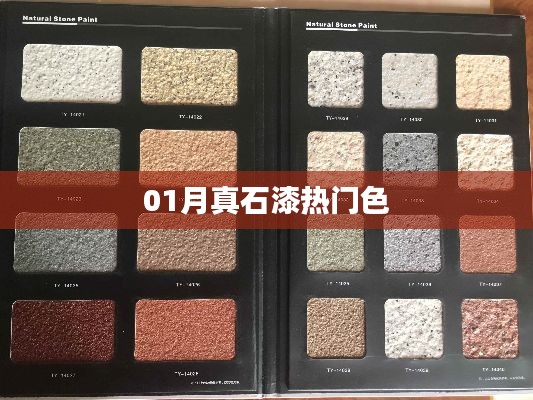01月真石漆流行色彩趋势