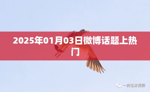 微博热门话题揭秘，日期背后的故事，热议不断