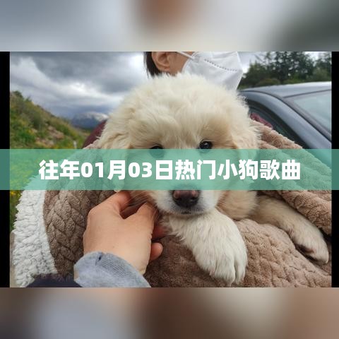 精选小狗歌曲，历年一月三日热门榜单之选