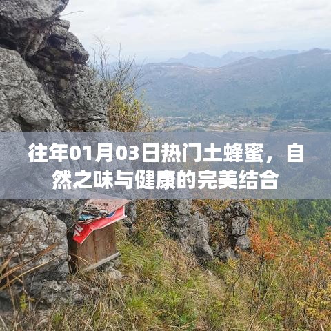 夫妻本是同 第3页