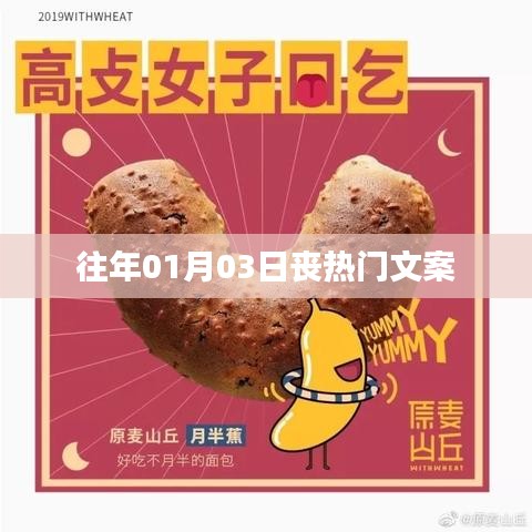 历年元旦后丧系文案回顾