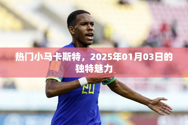 热门小马卡斯特的独特魅力，2025年迎新春魅力绽放