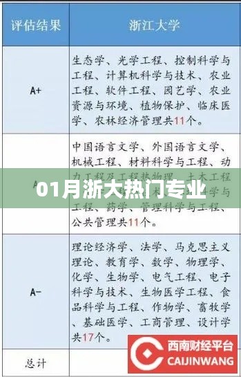 浙大热门专业榜单揭晓，一月精选专业概览