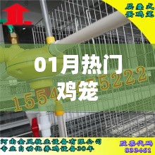 最新热门鸡笼，一月精选推荐