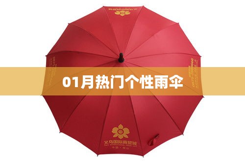 热门个性雨伞，时尚必备之选