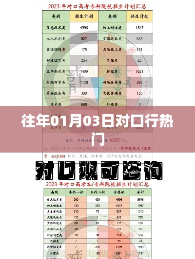 对口行热门趋势解析，历年数据回顾与展望