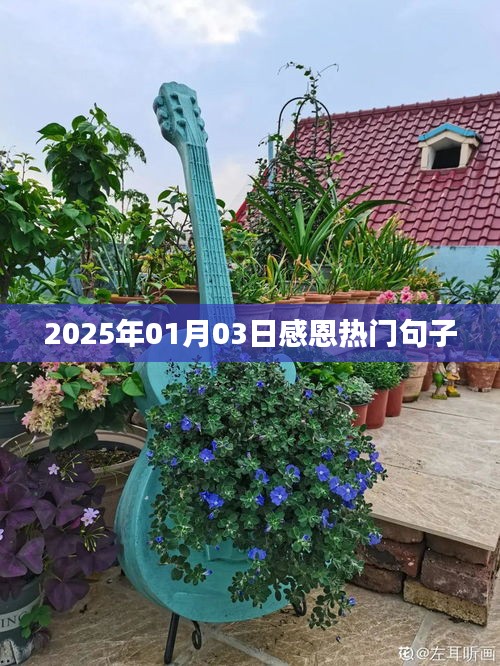 感恩热门句子分享，温暖心灵的美好篇章