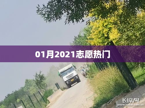 2021年一月志愿热门活动