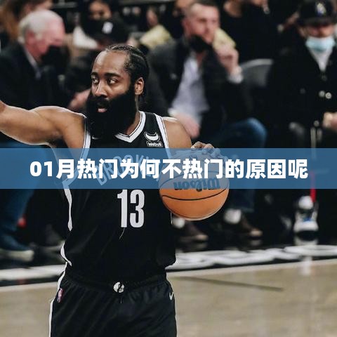 揭秘热门话题背后的冷门真相，为何一月热点未引发广泛关注？