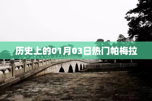 乌鸟之情 第3页