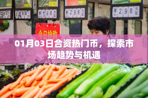 01月03日热门币市场趋势与机遇揭秘