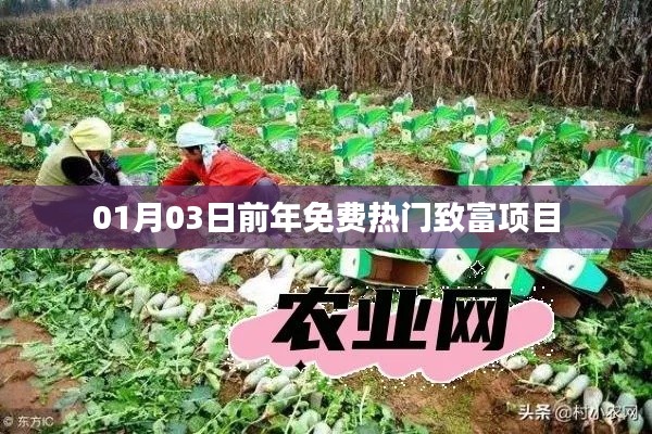 年前一月致富热门项目推荐，免费致富项目精选