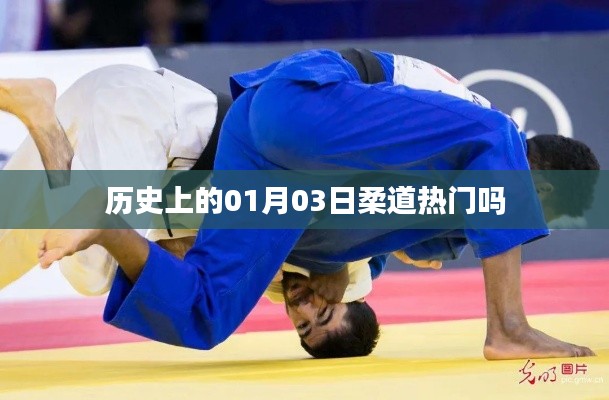 历史上的柔道热门日期，探寻01月03日的柔道盛事
