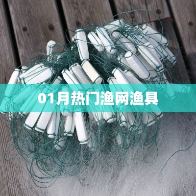 服务方式 第199页