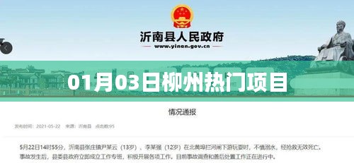 柳州热门项目一览（日期，01月03日）
