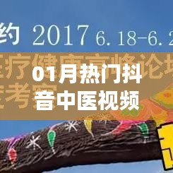 火伞高张 第3页