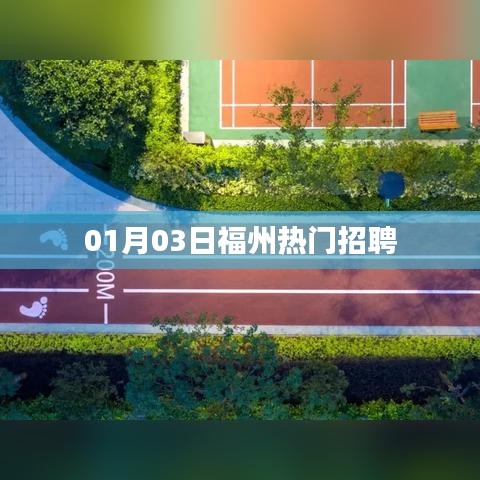 福州最新热门招聘信息，求职者的福音（01月03日）