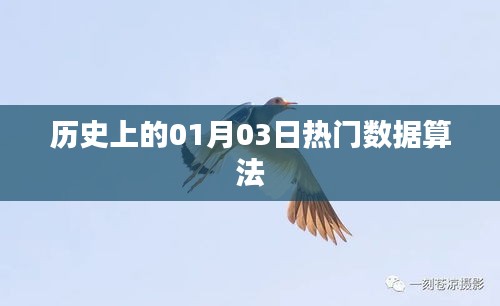 历史上的热门数据算法揭秘，一月三日回顾与展望