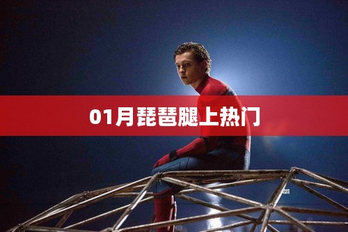 琵琶腿走红，一月热议焦点