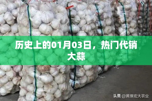 热门代销大蒜的历史时刻，一月三日回顾