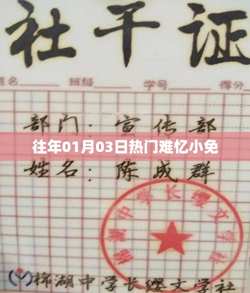 热门事件回顾，难忘的小兔岁月记忆