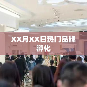 XX月XX日品牌孵化热潮涌动