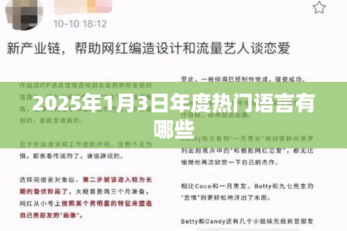 『2025年度热门语言一览，新年新词汇趋势』