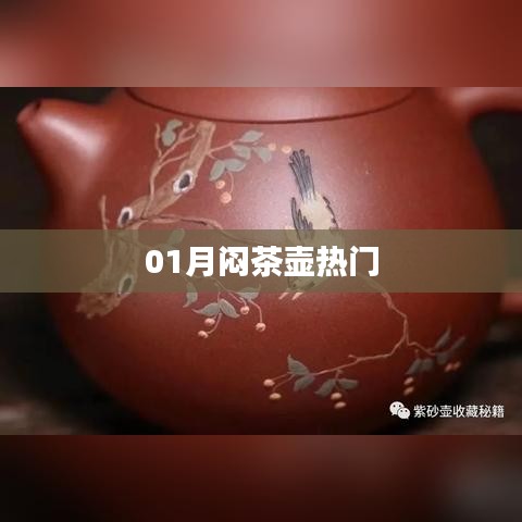 闷茶壶热门趋势解析
