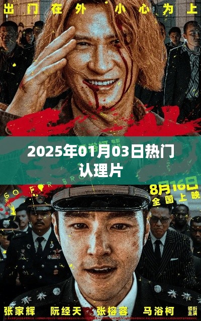 最新热门认理片推荐（2025年1月3日）
