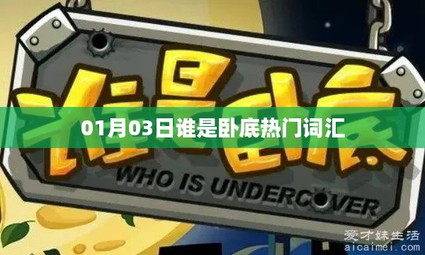 热门卧底词汇揭秘，01月03日揭秘谁是卧底最新流行词汇