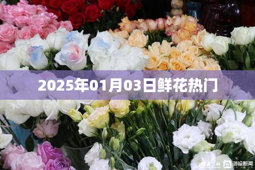 『2025年鲜花流行趋势展望，热门花卉一览』