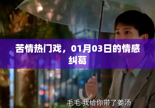 苦情戏情感纠葛，01月03日剧情回顾