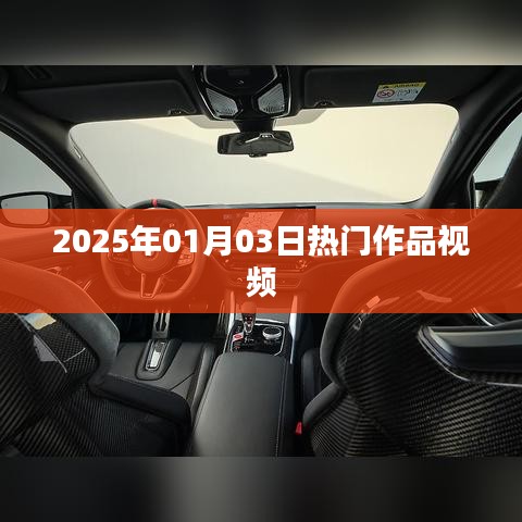 2025年热门作品视频概览