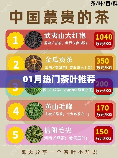 贵在知心 第3页