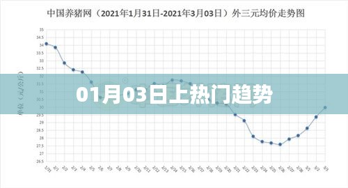 热门趋势揭秘，01月03日独家解读