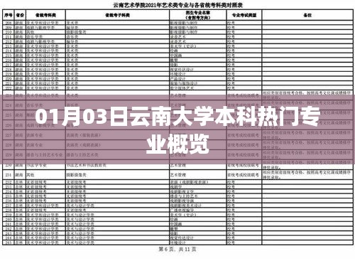 云南大学本科热门专业概览，最新动态解析
