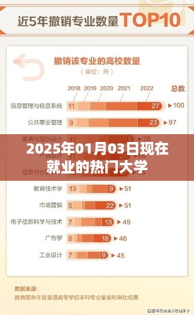 揭秘热门大学专业就业趋势，洞悉未来职场走向！