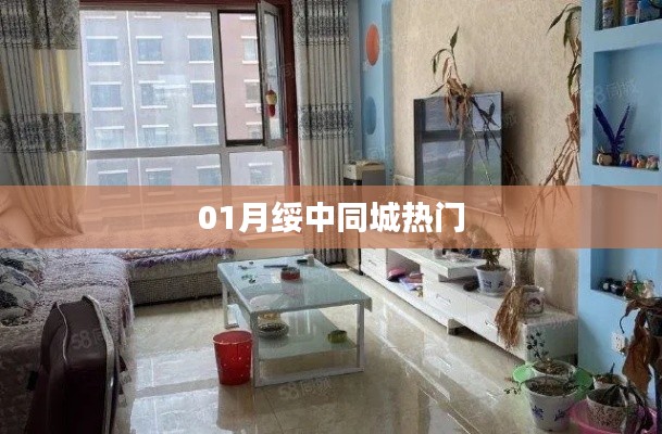 绥中同城热门资讯速递