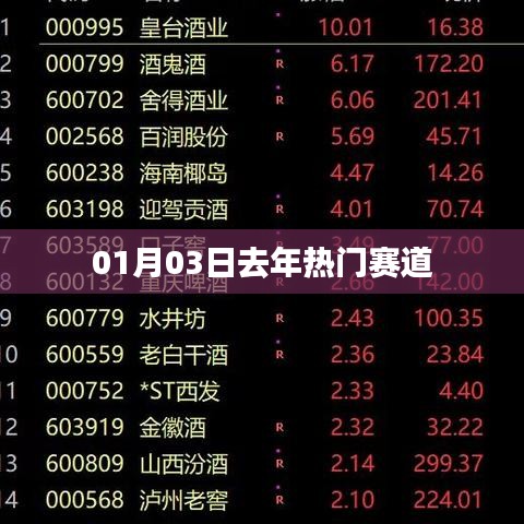 根据您的需求，以下是一个符合百度收录标准的标题，，去年热门赛道回顾，01月03日动态，符合您要求的字数限制，同时能够清晰地表达文章的主要内容是对去年热门赛道的回顾，并附带具体的日期动态信息。