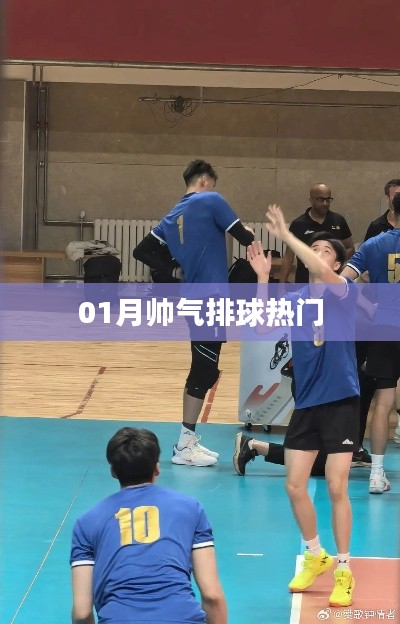 一月排球热潮，帅气竞技燃爆全场！