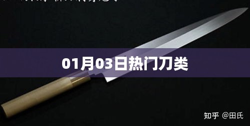 服务方式 第193页